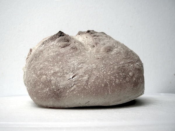 2011-bread-loaf-1_l